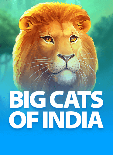 Big Cats of India